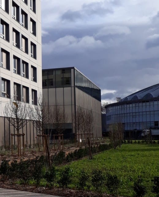 gymnase-tony-parker_04T2