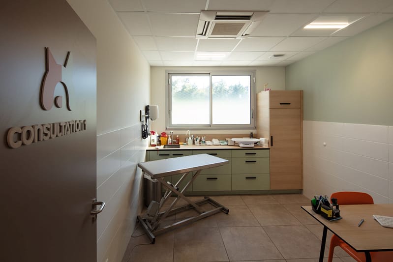 1901-Clinique véto-image 2